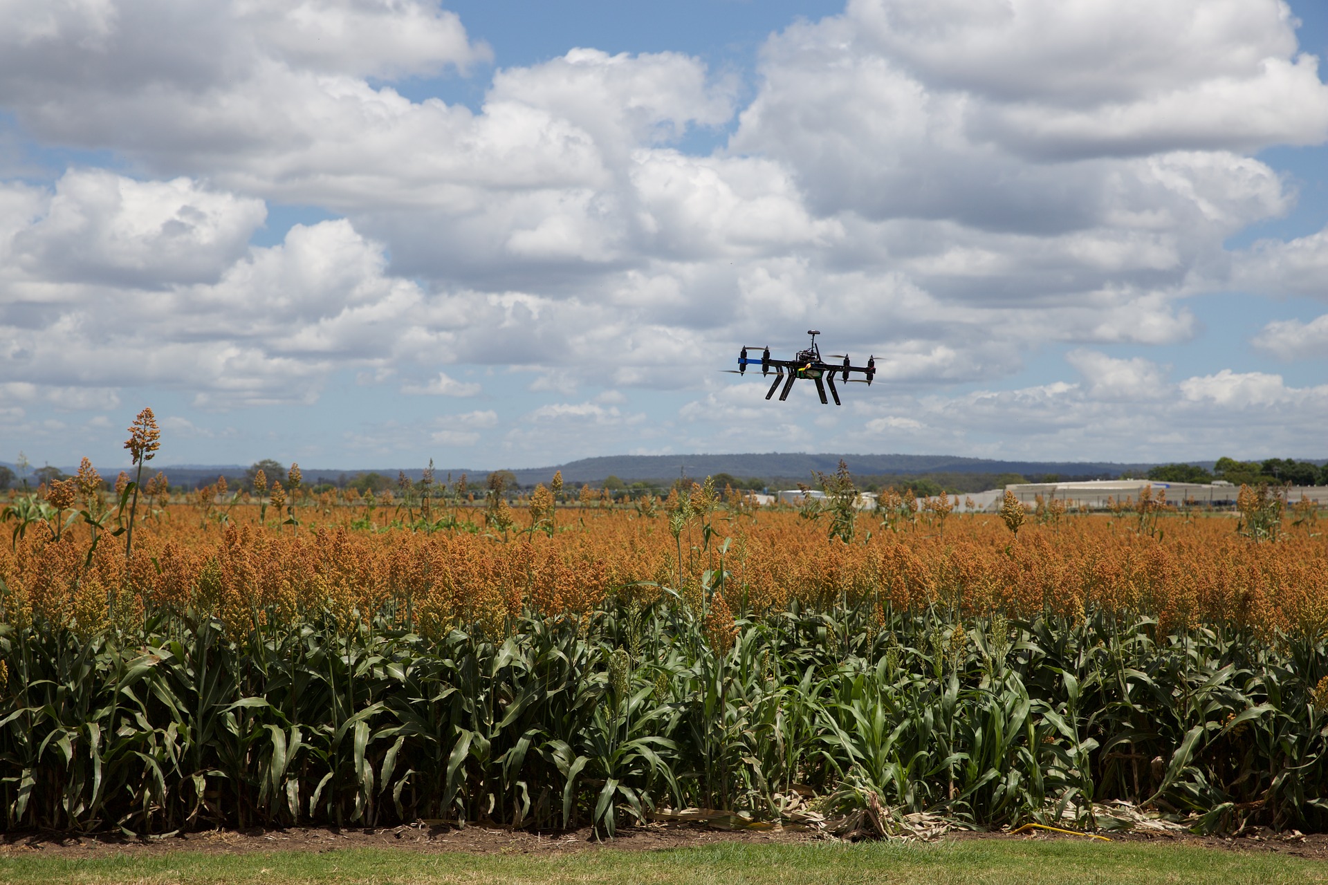 https://gate.horasis.org/wp-content/uploads/2021/05/agriculture-3182252_1920.jpg