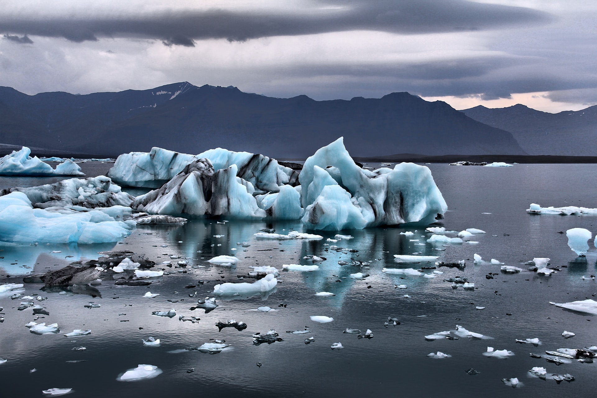 https://gate.horasis.org/wp-content/uploads/2022/05/gian-reto-tarnutzer-d8ddeWAc4z4-unsplash.jpg