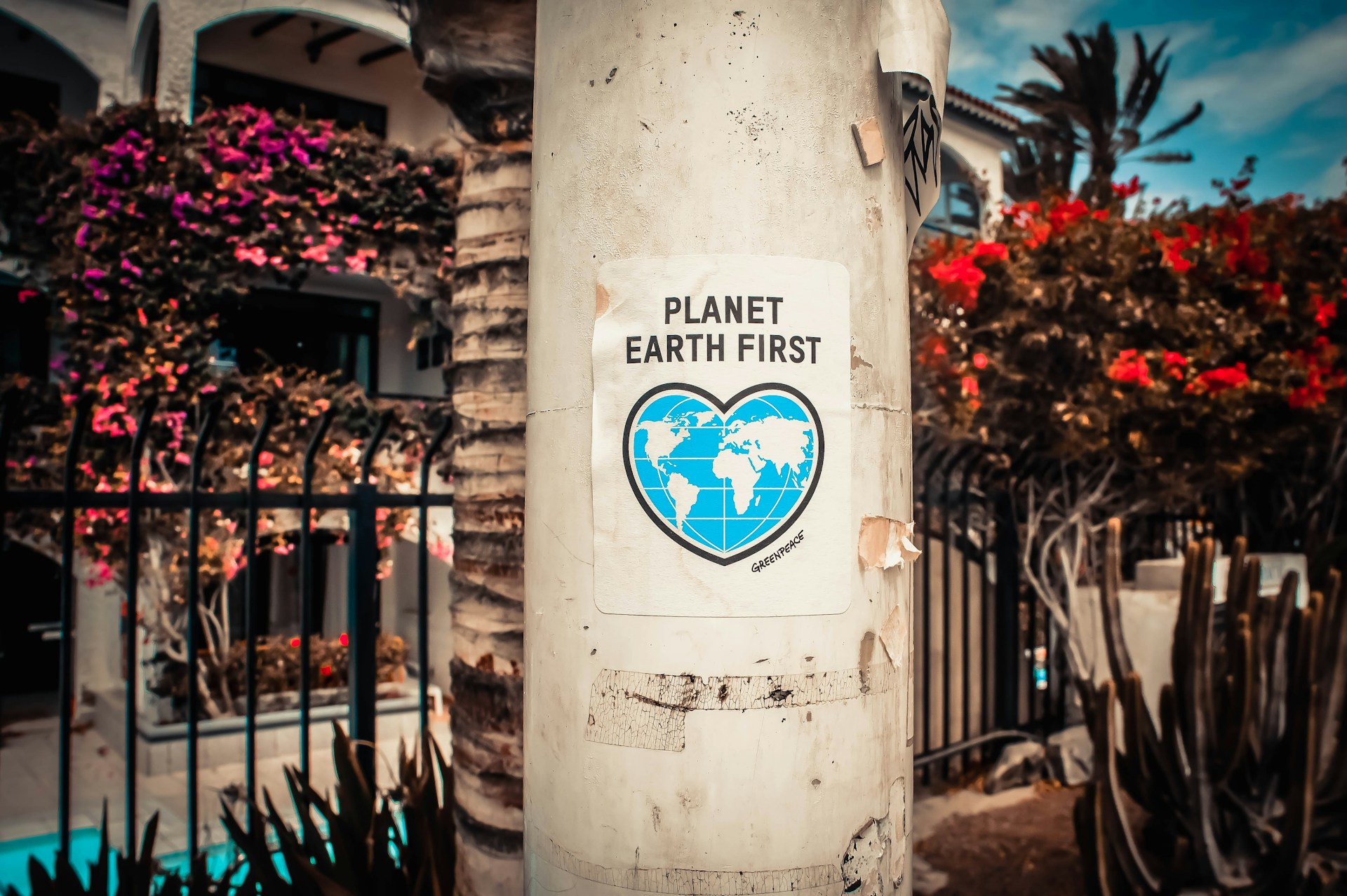 https://gate.horasis.org/wp-content/uploads/2024/04/photo-boards-D0xQQsZovws-unsplash-1.jpg